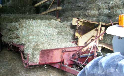 Hay wagon with a load of square bales