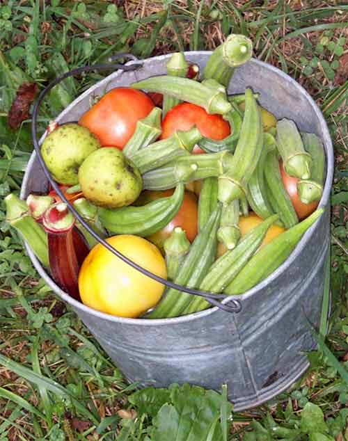 a bucket full of fresh vegetables