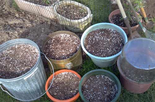 pots and containers filled with soil