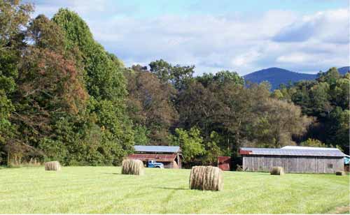 round hay bales in a field