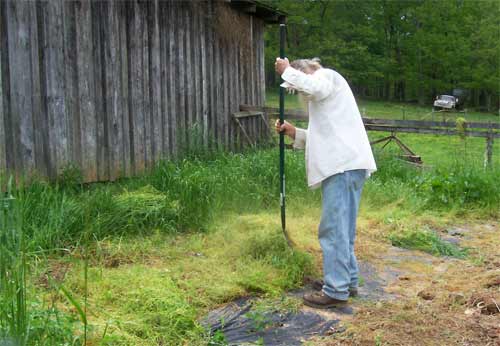 Working in the vegetable garden