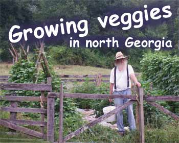 Tony in the vegetable garden