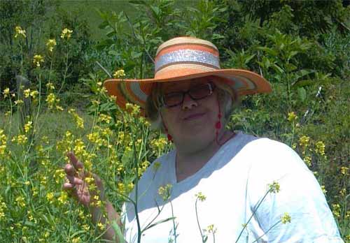 Janice with wild lettuce plants