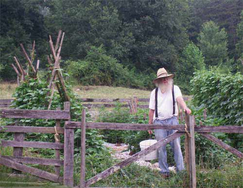 Tony in the vegetable garden